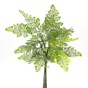 yP10{ 12/31܂ŁIz  O[ Ƃ悹i AWA^oh AWA^ sbNE(O[) CeA tFCN p[c CeAt[ tFCNt[ VNt