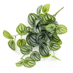  O[ Ƃ悹i yy~AoC yy~A tFCNO[ [t t oC CeA p[c CeAt[ tFCNt[ VNt[ t