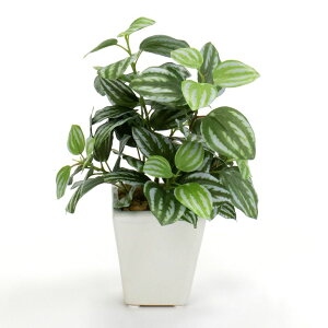  O[ Ƃ悹i yy~AAO?^|bg yy~A ϗtA tFCNO[ [t CeAO[  |bg p[c CeAt[ t