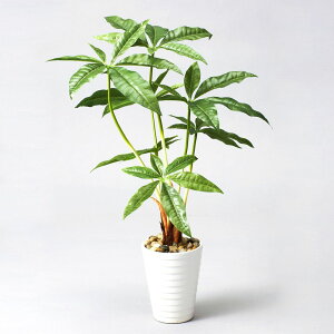 �yP10�{ 12/31�܂ŁI�z ���� �O���[�� �Ƃ�悹�i �p�L���|�b�g �p�L�� �ϗt�� �ϗt�A�� �t�F�C�N�O���[�� ���[�t �C���e���A�O���[�� ������� �|�b�g �p�[�c �C���e���A�t�����[ �V���N�t��