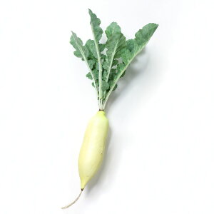 yP10{ 12/31܂ŁIz tFCNt[h Ƃ悹i _CR _CR  tFCNt[h CeA C~e[V ԍ Ԏ f ޗ p[c    i` t  H ~