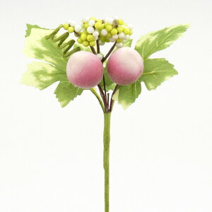 yP10{ 12/31܂ŁIz AWpsbN tFCNt[c Ƃ悹i ~js[`sbN s[`    tFCNt[c tFCNt[h p[c Ntg AWg RT[W 