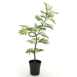 yP10{ }\z  O[ y[J[iz XpCGo[tbV|bg(M) 100cmssEiƂ̓st Go[tbV ϗt ϗtA tFCNO