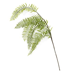 yP10{ 12/31܂ŁIz  O[ Ƃ悹i V_oC V_ tFCNO[ [t t oC t@[ CeA p[c CeAt[ tFCNt[ VNt[ 