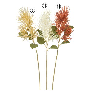  O[ Ƃ悹i X[Nc[ ̖ ̖ nO}mL F̖ CeA tFCN O[ p[c CeAt[ ԍ f AXJ ASCA AXJ