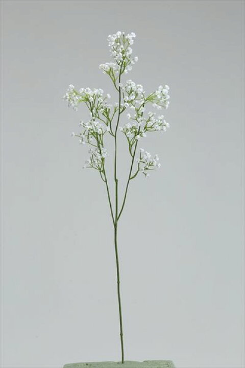 楽天市場 造花 とりよせ品 花びし かすみ草 ホワイトカスミ かすみ カスミ草 かすみ草 ジプソフィラ ギプソフィラ インテリア インテリアフラワー フェイクフラワー シルクフラワー インテリアグリーン 花材 造花ドライフラワー専門問屋花びし