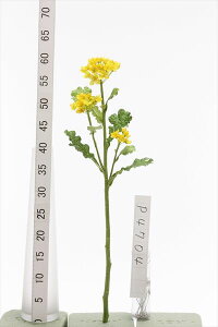 yP10{ 12/31܂ŁIz  Ƃ悹i ؂̉ imni ؂̉ CeA CeAt[ tFCNt[ VNt[ CeAO[ tFCNO[ A[gt[ ԍ