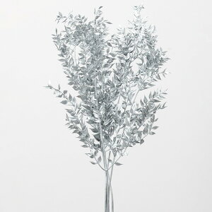 hCt[ ԍ o XJX Vo[ ԍ f ޗ p[c F XbO u[P hCt[ NX}X ԑ [X AW AWg n_