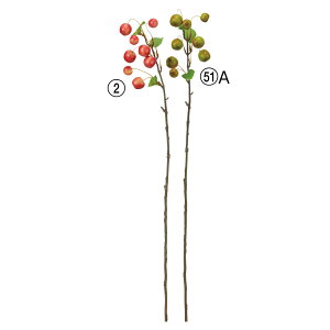 yP10{ z  Ƃ悹i qS Pь Ђ߂ CkS ь ~JChE C CeA CeAt[ tFCNt[ ԍ Ԏ AXJ ASCA AXJ