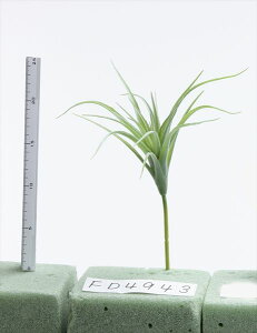 yP10{ z  O[ A Ƃ悹i eBWA tFCNO[ [t CeA A 썑 gsJ GAvc TbJe T{e p[c ԍ t