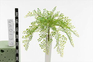 yP10{ 12/31܂ŁIz  O[ Ƃ悹i AWA^ tFCNO[ CeAO[ [t p[c CeAt[ tFCNt[ VNt[ A[gt[ 