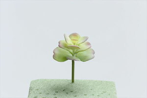 yP10{ z  O[ A Ƃ悹i TbJ tFCNO[ [t CeA A 썑 gsJ GAvc TbJe T{e p[c ԍ f