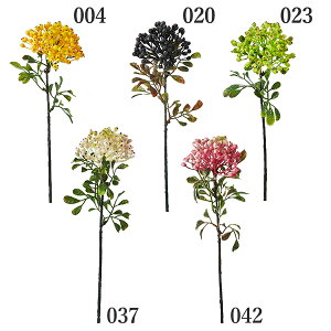 yP10{ 12/31܂ŁIz  O[  Ƃ悹i j[Ehx[ tFCNO[ CeAO[ p[c AWg CeAt[ tFCNt[ VNt