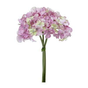  Ƃ悹i nChWAu[P CbN z AWTC CeA CeAt[ tFCNt[ VNt[ CeAO[ ԍ Ԏ p