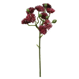 造花 グリーン 多肉植物 とりよせ品 セダムピック バーガンディ エアプランツ サッカレンテン サボテン インテリア フェイク グリーン パーツ インテリアフラワー 花材 パレ