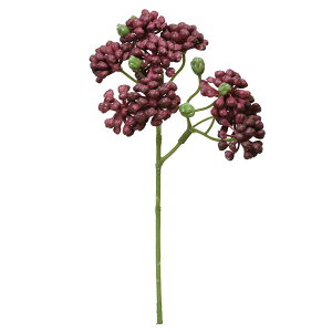 yP10{ z  O[ A Ƃ悹i Z_sbN o[KfB GAvc TbJe T{e CeA tFCN O[ p[c CeAt[ ԍ p