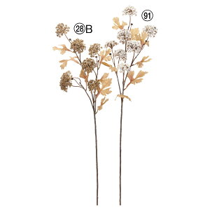  Ƃ悹i ro[i×7 ڂ×3 K}Y~ Xm[{[ IIf} CeA CeAt[ tFCNt[ VNt[ ԍ AXJ ASCA AXJ