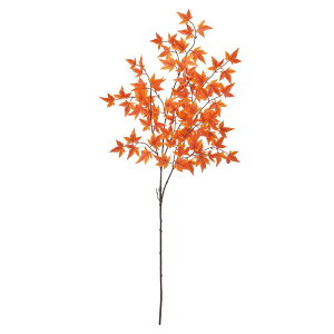 yP10{ z  O[ Ƃ悹i ~W ݂ ~W gt   JGf CeA tFCN O[ p[c CeAt[ tFCNt[ AXJ ASCA AXJ