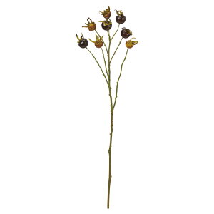 yP10{ z O[   Ƃ悹i [Yqbv hbO[Y Cko CeA tFCN O[ p[c AWg CeAt[ ԍ AXJ ASCA AXJ