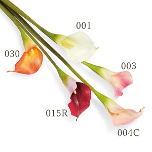  Ƃ悹i J[B J[ S J[[ i sN IW zCg  uC_ u[P ޗ ԍ    DIY AXJ ASCA AXJ