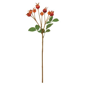 yP10{ z O[   Ƃ悹i [Yqbv hbO[Y Cko CeA tFCN O[ p[c AWg CeAt[ ԍ AXJ ASCA AXJ