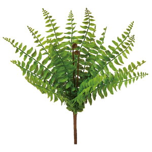  O[ Ƃ悹i t@[ubV V_ t@[  O[ t t ǖʗΉ CeA tFCN p[c CeAt[ t AXJ ASCA AXJ