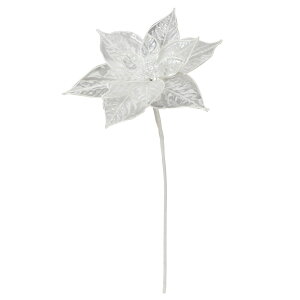 NX}X  Ƃ悹i NA|CZ`A  zCg    VEWE{N ́X NX}Xt[ m[`FEuGi  AXJ ASCA AXJ