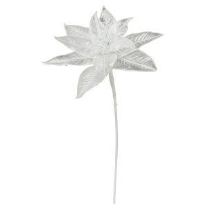 yP10{ 12/31܂ŁIz NX}X  Ƃ悹i NA|CZ`A  zCg    VEWE{N ́X NX}Xt[ m[`FEuGi  AXJ ASCA AXJ