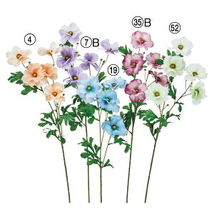 yP10{ 12/31܂ŁIz  Ƃ悹i iLX×5 ڂ×3 niL|EQ ԋP    F zCg F IW CeA CeAt[ ԍ AXJ ASCA AXJ