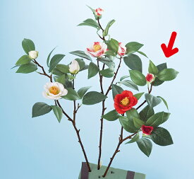 楽天市場 椿 Camellia 花 ガーデン Diy の通販 楽天市場 椿 Camellia 花 ガーデン Diy の通販