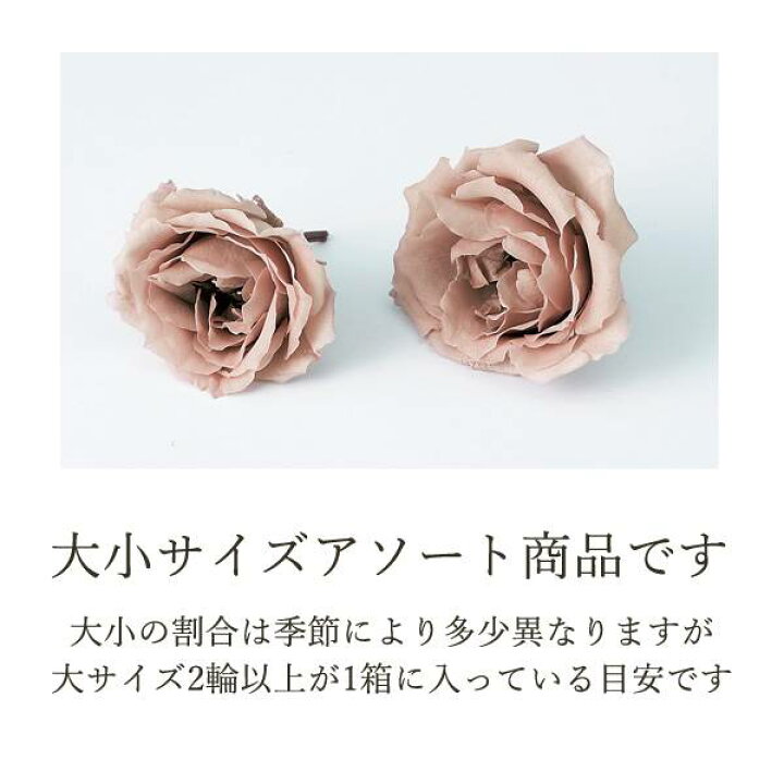市場 メール便 チャコールグレイ モス プリザーブドモス 花材 対応 そらプリ