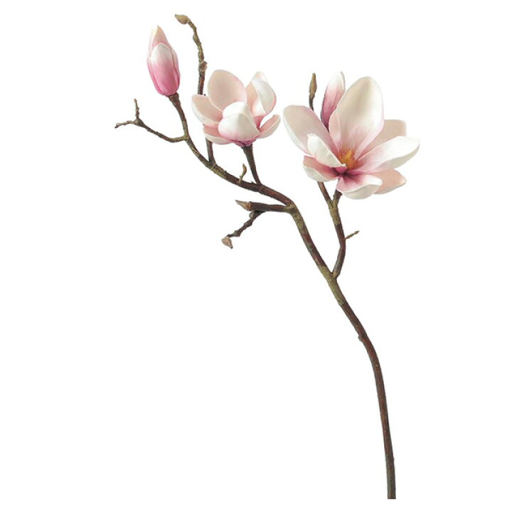 524円 大量入荷 asca 造花 柿 葉径11cm 実6.5cm オレンジ A-47723-030 524円 大量入荷 asca 造花 柿 葉径11cm 実6.5cm オレンジ A-47723-030