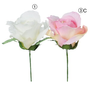  Ƃ悹i AX[YsbN CeA CeAt[ tFCNt[ VNt[ CeAO[ tFCNO[ ԍ AXJ ASCA AXJ