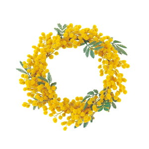 yP10{ 12/31܂ŁIz [X Ƃ悹i ~U[X [X AWg Ԏ  i ʐ^Be   t  H ~ v[g Mtg fR[V AXJ ASCA AXJ