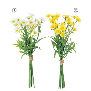  Ƃ悹i f[W[×21 (16{) ԑ u[P  fCW[ CeA CeAt[ tFCNt[ VNt[ ԍ f AXJ ASCA AXJ