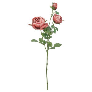 yP10{ 12/31܂ŁIz  Ƃ悹i [Y×2 ڂ×1 uC_ u[P ԍ ޗ  zCg uE o KN Jbv CeA CeAt[ f AXJ ASCA AXJ