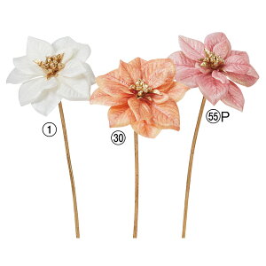 NX}X  Ƃ悹i VCj[|CZ`AsbN VEWE{N ́X NX}Xt[ m[`FEuGi  LL sbN  AXJ ASCA AXJ