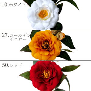 yP10{ 12/31܂ŁIz   o   ԍ ޗ p[c coL    F CG[ zCg bh }t Vt nhCh  fR[V a Ԏ p