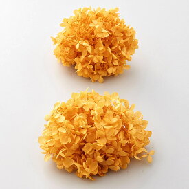 プリザーブドフラワー 花材 即日出荷 ピラミッドアジサイ・ヘッド ミモザイエロー 花材 素材 材料 パーツ アジサイ あじさい 紫陽花 花びら 黄色 イエロー オレンジ レジン封入 アロマワックスサシェ ハーバリウム プリザーブドフラワー ブーケ 大地農園
