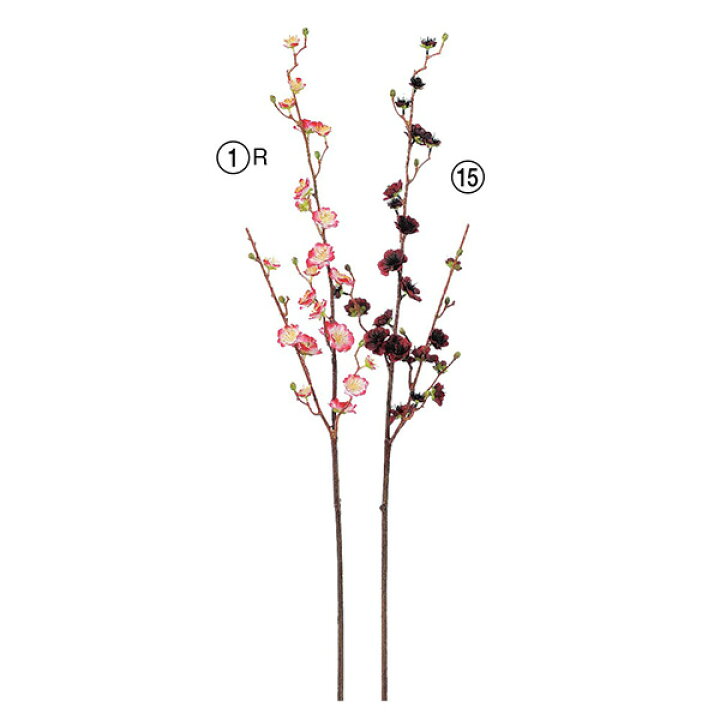 楽天市場 造花 とりよせ品 Asca アスカ プラムブロッサム 23 つぼみ 10和 梅 Japanese Apricot プラム インテリア インテリアフラワー フェイクフラワー シルクフラワー 花材 春 造花ドライフラワー専門問屋花びし