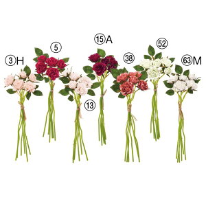 yP10{ 12/31܂ŁIz  Ƃ悹i [Yo` o KN Ԃo c炫 ٍc炫 sN bh ԂKN KN    CeA VNt[ AXJ ASCA AXJ