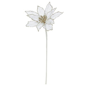 yP10{ 12/31܂ŁIz NX}X  Ƃ悹i VtH|CZ`A VEWE{N ́X NX}Xt[ m[`FEuGi Ob^[ LL F VA[ AXJ ASCA AXJ