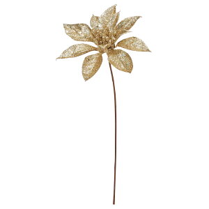 NX}X  Ƃ悹i Ob^[|CZ`AsbN VEWE{N ́X NX}Xt[ m[`FEuGi  LL x[W AXJ ASCA AXJ