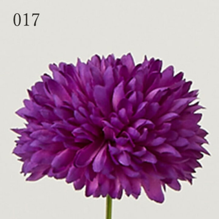 楽天市場 造花 とりよせ品 花びし ポンポンピック和 菊 マム インテリア インテリアフラワー フェイクフラワー シルクフラワー インテリアグリーン フェイクグリーン アートフラワー イミテーション 花材 春 造花ドライフラワー専門問屋花びし
