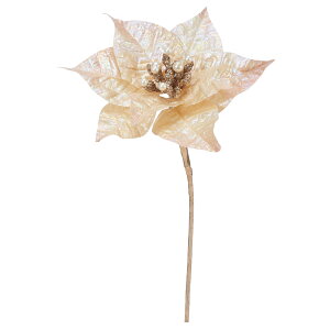 yP10{ 12/31܂ŁIz NX}X  Ƃ悹i CfBZg|CZ`AsbN VEWE{N ́X NX}Xt[ m[`FEuGi  I[ Ό AXJ ASCA AXJ