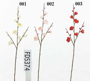 yP10{ 12/31܂ŁIz  Ƃ悹i }~ a ~ Japanese A[eBtBVt[ apricot v CeA CeAt[ tFCNt[ VNt[ CeAO[