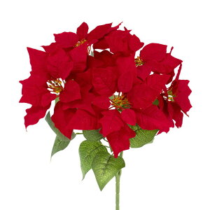 yP10{ 12/31܂ŁIz NX}X  Ƃ悹i |CZ`AubV×5 VEWE{N ́X NX}Xt[ m[`FEuGi NX}XAW NX}Xc[ bh  