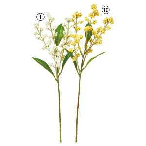 yP10{ 12/31܂ŁIz  O[  Ƃ悹i x[Xv[  F CG[  zCg CeA tFCN O[ p[c AWg ԍ Ԏ AXJ ASCA AXJ