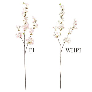 P10{ }\  Ƃ悹i VmUN(L)  g TN } `F[ubT CeA CeAt[ tFCNt[ VNt[ CeAO[