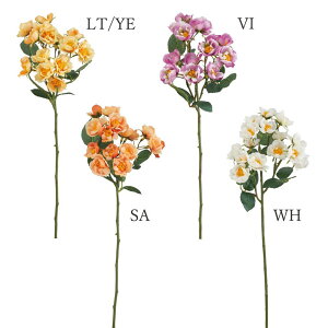 yP10{ 12/31܂ŁIz  Ƃ悹i Ch[YXv[ KN o IW   F CG[ p[v CeA CeAt[ tFCNt[ VNt[ ԍ r